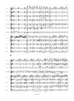 Schumann, Robert: Violinkonzert d-moll WoO 1 Product Image