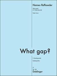 Hannes RAFFASEDER: What Gap? (2.Streichquartett)