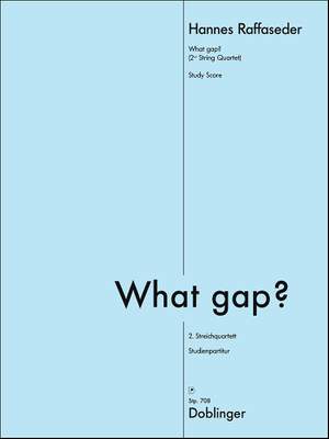 Hannes RAFFASEDER: What Gap? (2.Streichquartett)