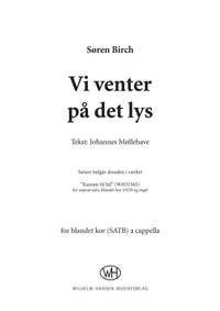 Søren Birch: Vi Venter På Det Lys