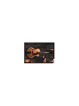Tom Bills: Luthier Wall Chart