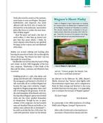 Richard Wagner: The Lighter Side Product Image