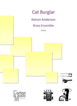 Keiron Anderson: Cat Burglar