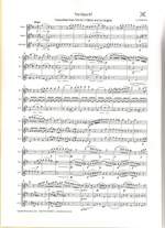 Ludvig van Beethoven: Trio Opus 87 Product Image