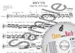 Choro Meets Bach Product Image