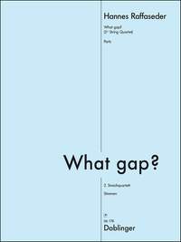 Hannes Raffaseder: What gap?