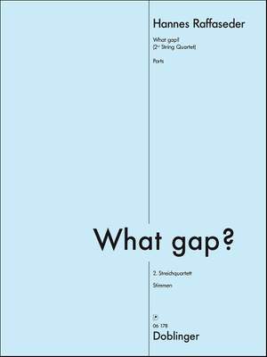 Hannes Raffaseder: What gap?