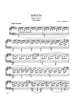 Ludwig van Beethoven: Sonata No. 14 in C-Sharp Minor, Op. 27, No. 2 ("Moonlight") Product Image