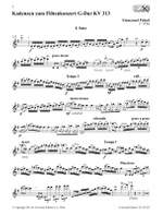 Pahud Emmanuel: Cadenzas to the Flute Concertos KV 313, KV 314, KV 315 Product Image