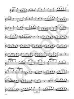 Johann Sebastian Bach: J.S. Bach: Six Cello Suites for Flute Product Image
