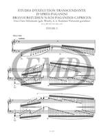Liszt: Études d'exécution transcendante d'apres Paganini and other works (paperback) Product Image