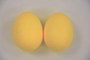Egg Shaker - gelb, Paar