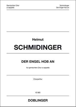 Helmut Schmidinger: Der Engel hob an (2013)