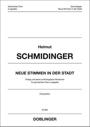 Helmut Schmidinger: Neue Stimmen in der Stadt (2010)