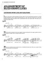 100 Authentic Blues Harmonica Licks Product Image
