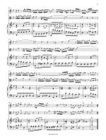 Bach, Johann Sebastian: Triosonate g-moll nach BWV 76/8 und 528 Product Image