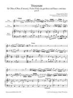 Bach, Johann Sebastian: Triosonate g-moll nach BWV 76/8 und 528 Product Image