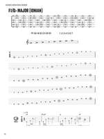 Ultimate-Guitar Scale Decoder Product Image