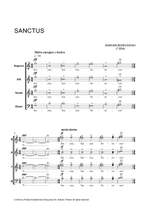 Borkowski, M: Sanctus Product Image