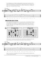 Scott A. Smith's Serious Blues: Essential Phrasing Product Image