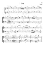 Int. Studies for Developing Artists on the Flute Product Image