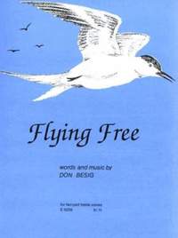 Don Besig: Flying Free
