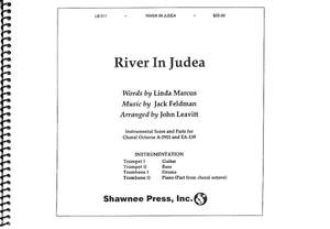 Jack Feldman_Linda Marcus: River in Judea