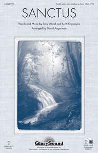 Scott Krippayne_Tony Wood: Sanctus