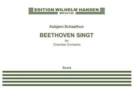 Asbjørn Schaathun: Beethoven Singt For Chamber Orchestra