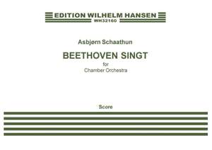 Asbjørn Schaathun: Beethoven Singt For Chamber Orchestra