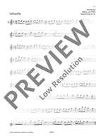 A Solo Book for Treble Recorder Product Image