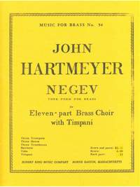 Hartmeyer: Negev