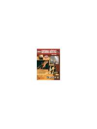 Greg Horne: Guitarra acustica (inicio)