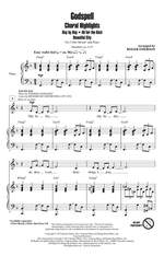 Stephen Schwartz: Godspell Product Image