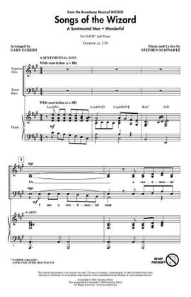 Stephen Schwartz: Songs of the Wizard