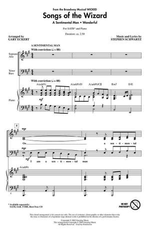 Stephen Schwartz: Songs of the Wizard