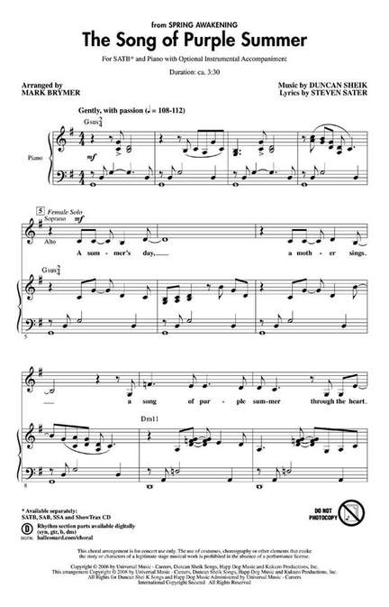 Duncan Sheik: The Song of Purple Summer