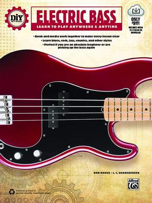 DiY (Do it Yourself) Electric Bass