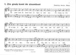 Herman Meima: Feest Op De Fluit Sint & Kerstliedjes Product Image