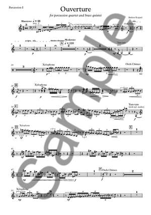 Anders Koppel: Ouverture