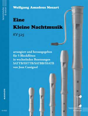Eine Kleine Nachtmusik (recorder 5tet)