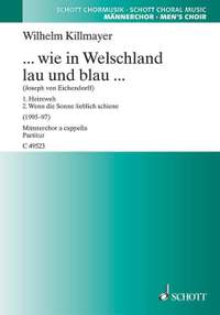 Killmayer, W: ... wie in Welschland lau und blau ...