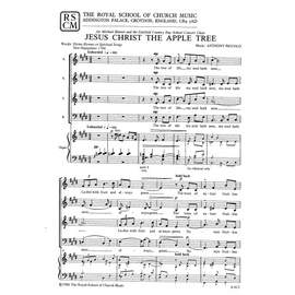 Piccolo: Jesus Christ The Apple Tree