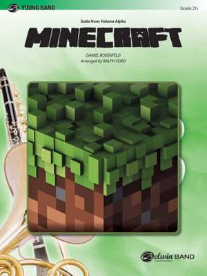 Daniel Rosefeld: Minecraft