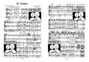Oscar van Hemel: De Schalmei