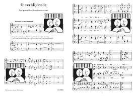 H.J. Brilman: O verblijdende