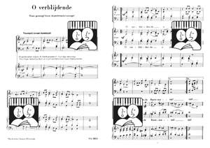 H.J. Brilman: O verblijdende