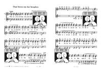 Rudolf Karsemeijer: Daar boven op dat bergsken