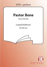 Leopold Hoffmann: Pastor Bone