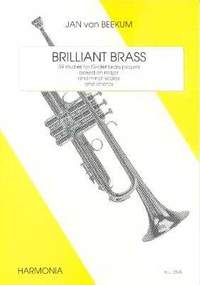 Jan van Beekum: Brilliant Brass